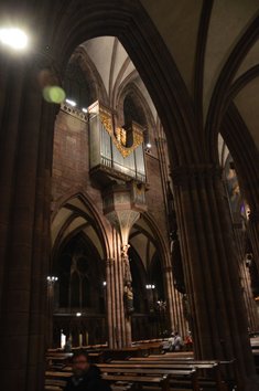 Freiburg_2023_Schlepphorst_113